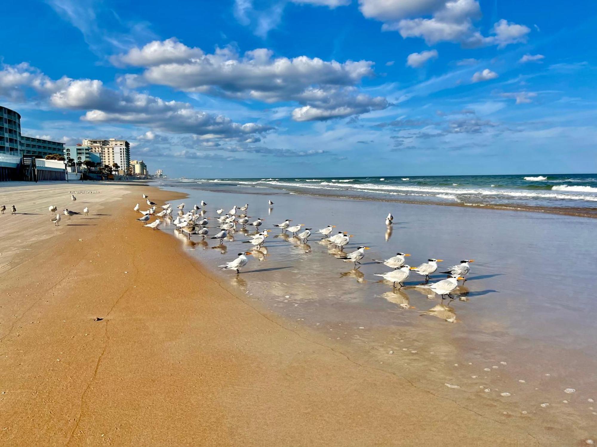 Sunset Studio Daytona Beachfront Bagian luar foto